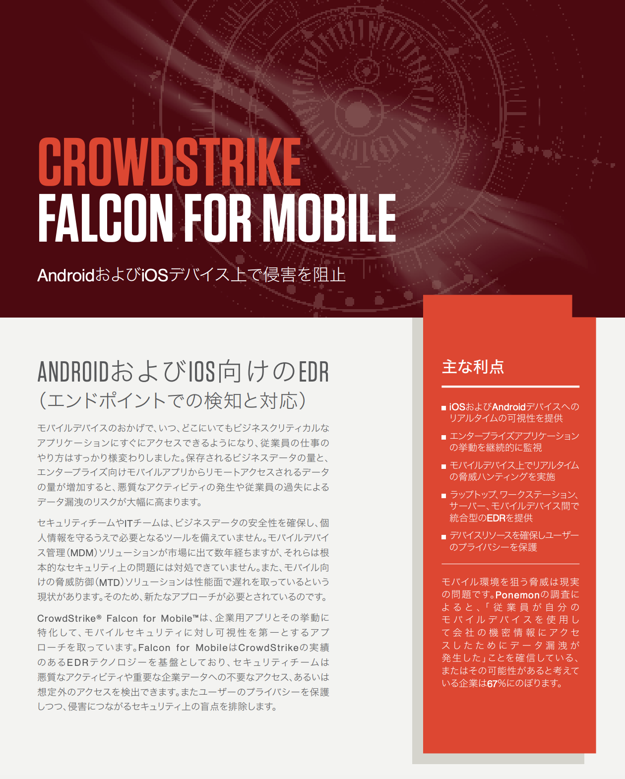 Falcon for Mobile Japanese Data Sheet Cover Image